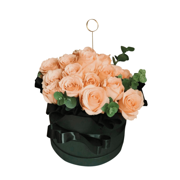 Areum <br>Bucket (Dried) - Image 2