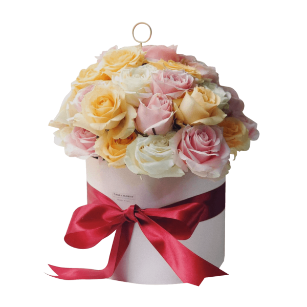 Areum <br>Bucket (Dried)